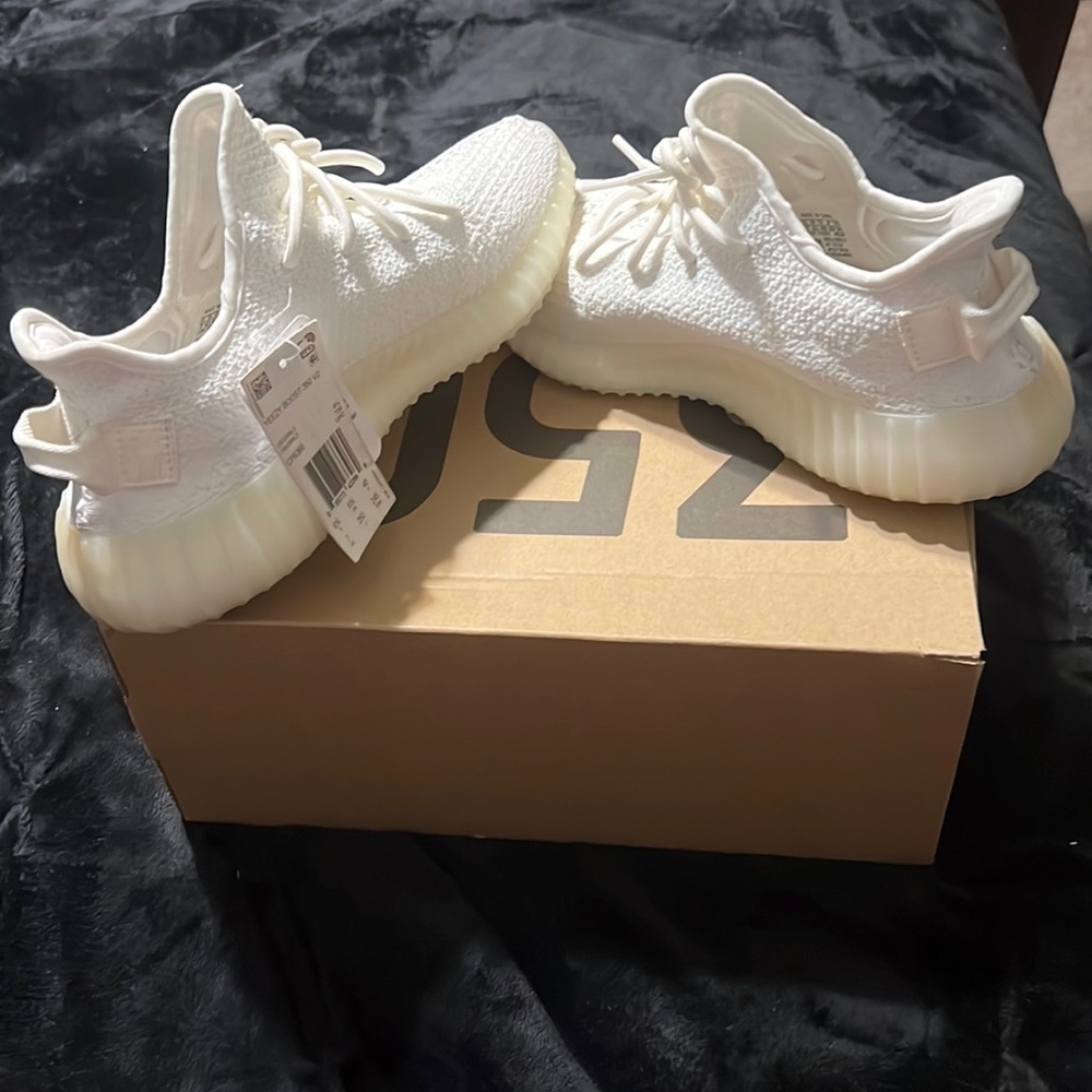 Color-Cream/White